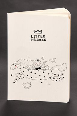 Akıl Defteri - The Little Prince - Flying Horse