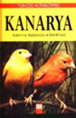 Kanarya