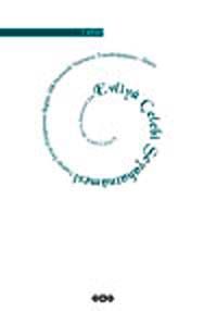 Evliya Çelebi Seyahatnamesi -7. Kitap