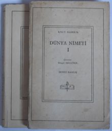 Dünya Nimeti Kod: 8-C-18