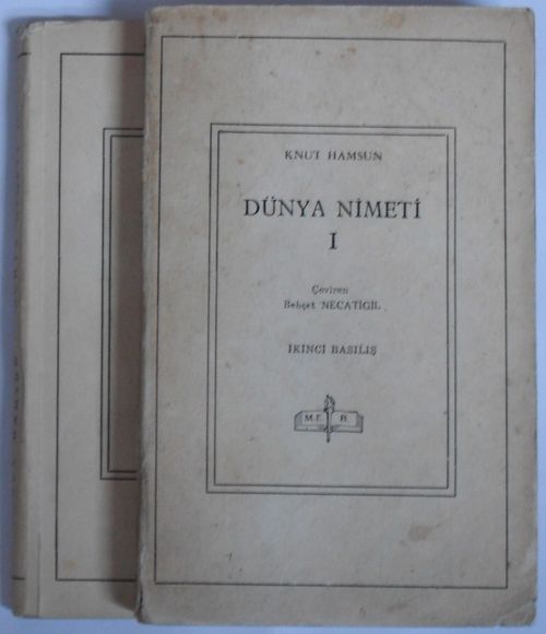 Dünya Nimeti Kod: 8-C-18