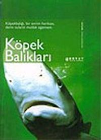 Köpek Balıkları