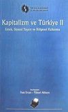 Kapitalizm ve T&uuml;rkiye 2.Cilt/Emek, Siyasal Yaşam ve B&ouml;lgesel Kalkınma