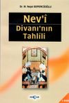 Nev'i Divanı'nın Tahlili