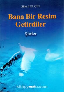 Bana Bir Resim Getirdiler - Şükrü Elçin