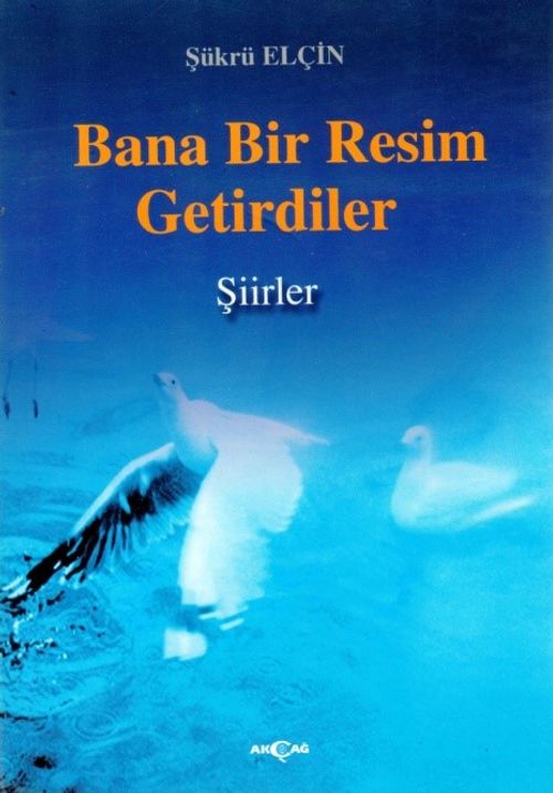 Bana Bir Resim Getirdiler