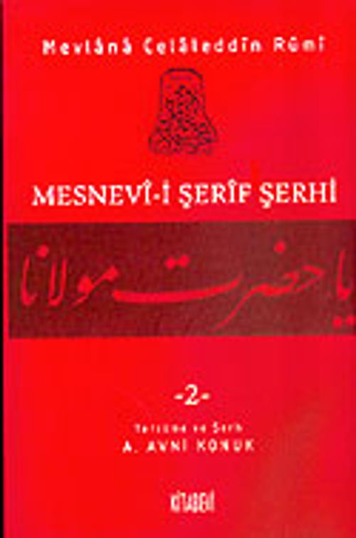 Mesnevi-i Şerif Şerhi 2