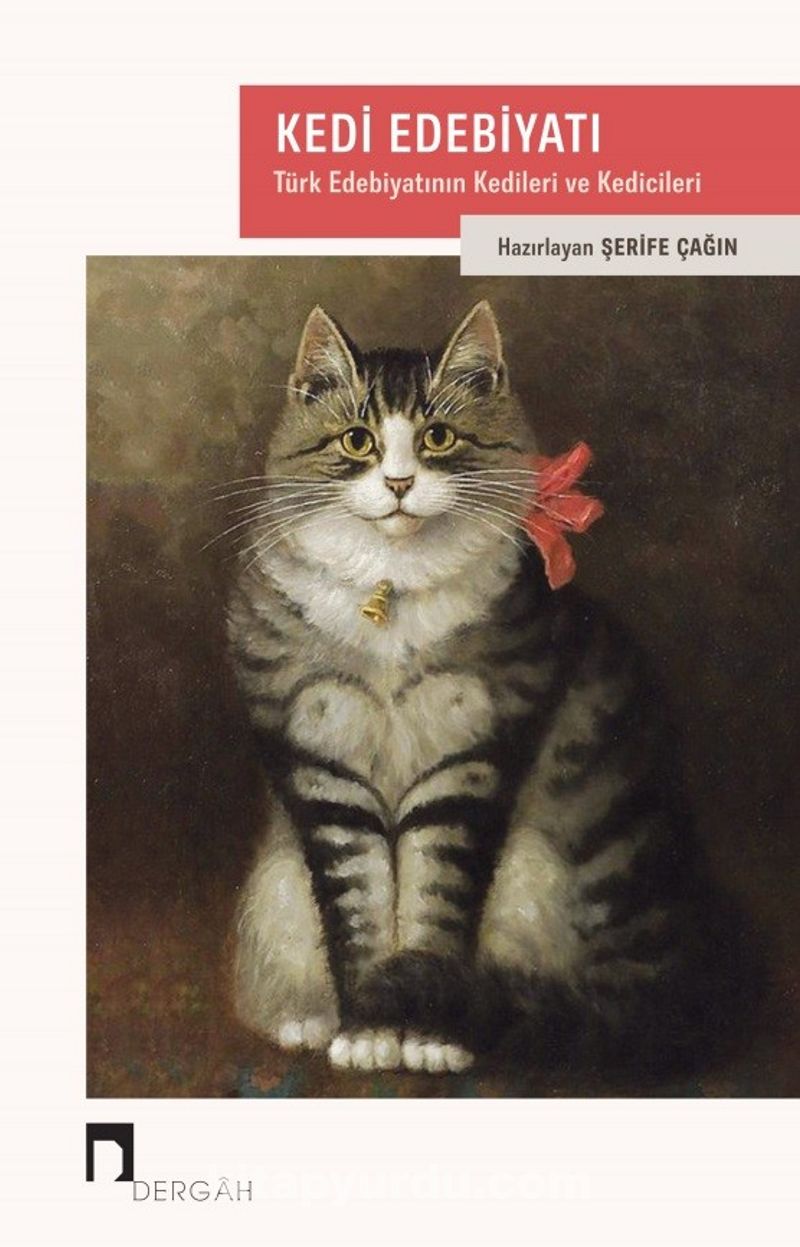Kedi Edebiyati Turk Edebiyatinin Kedileri Ve Kedicileri Serife Cagin Kitapyurdu Com