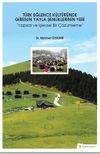 T&uuml;rk Eğlence K&uuml;lt&uuml;r&uuml;nde Giresun Yayla Şenliklerinin Yeri (Yapısal ve İşlevsel Bir &Ccedil;&ouml;z&uuml;mleme)