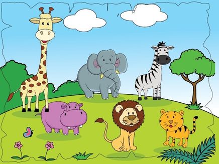 Karne Kılıfı Tema 2