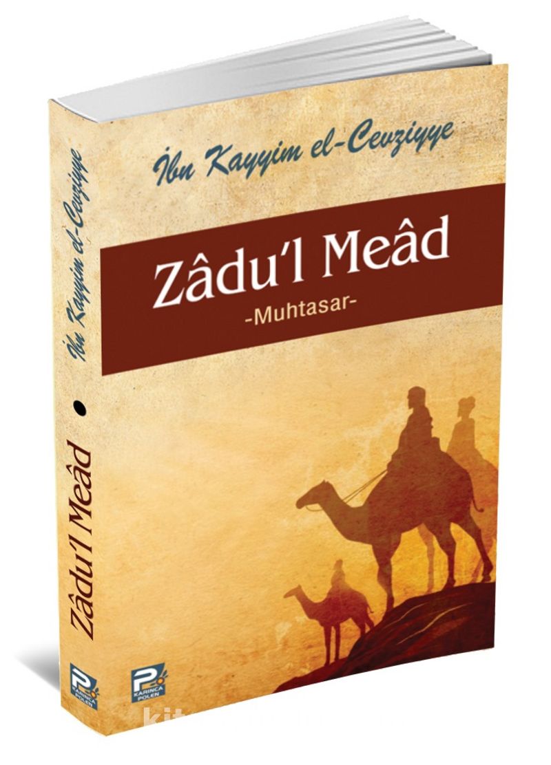 Zadu'l Mead Muhtasar (Karton Kapak)