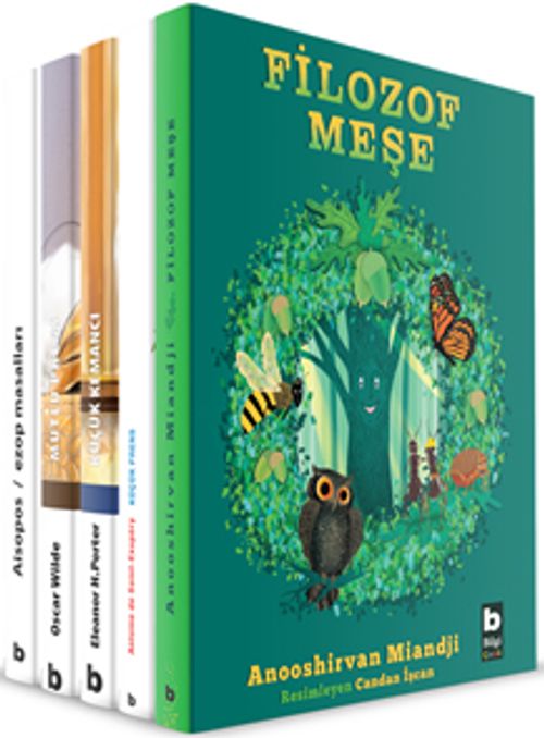 Sanat ve Felsefe Dizisi (5 Kitap)