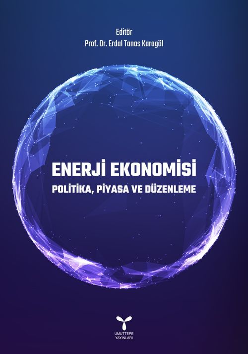 Enerji Ekonomisi & Politika, Piyasa ve Düzenleme