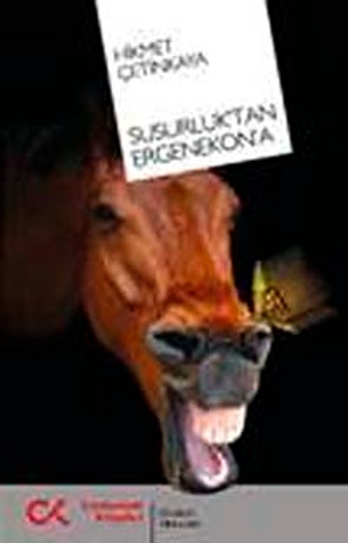 Susurluk'tan Ergenekon'a