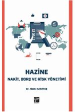 Hazine Nakit, Borç ve Risk Yönetimi