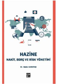 Hazine Nakit, Borç ve Risk Yönetimi