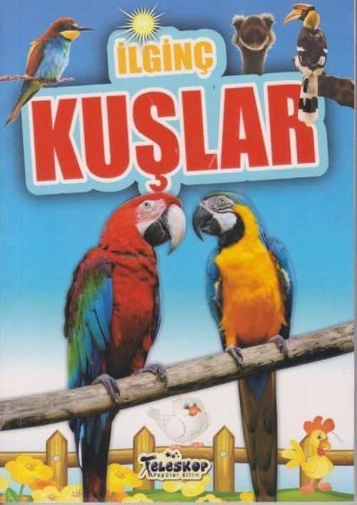 İlginç Bilgiler Serisi / İlginç Kuşlar