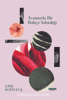 Aramızda Bir Bahçe Yakınlığı - Çiyil Kurtuluş