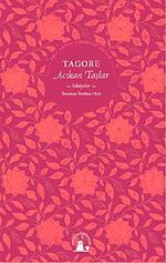 Acıkan Taşlar (Hikayeler)