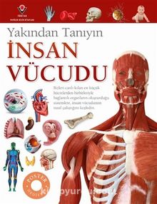 İnsan Vücudu - Yakından Tanıyın - Richard Walker