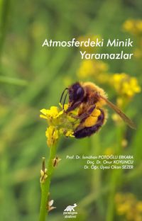 Atmosferdeki Minik Yaramazlar