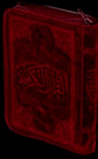 Dört Renkli Cep Boy Flok Cild ve Kılıflı