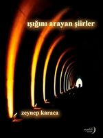 Işığını Arayan Şiirler