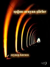 Işığını Arayan Şiirler