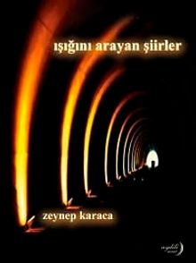 Işığını Arayan Şiirler