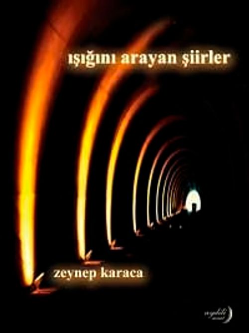 Işığını Arayan Şiirler
