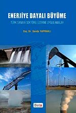 Enerjiye Dayalı Büyüme & Türk Sanayi Sektörü Üzerine