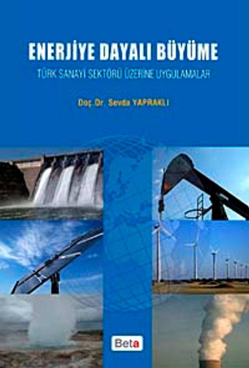 Enerjiye Dayalı Büyüme & Türk Sanayi Sektörü Üzerine