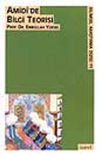 Amidi'de Bilgi Teorisi