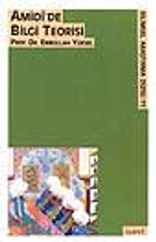 Amidi'de Bilgi Teorisi