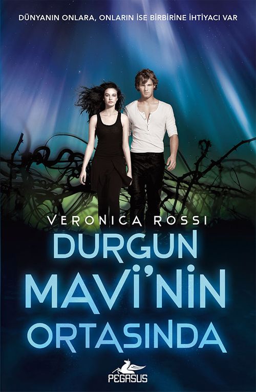 Durgun Mavi'nin Ortasında