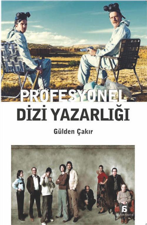 Profesyonel Dizi Yazarlığı