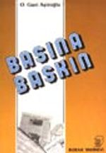 Basına Baskın