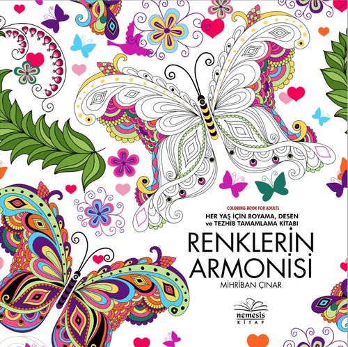 Renklerin Armonisi