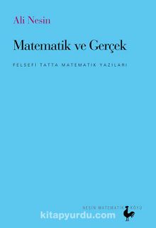 Matematik ve Gerçek & Felsefi Tatta Matematik Yazıları - Ali Nesin