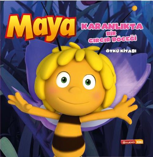 Arı Maya Karanlıkta Bir Cırcır Böceği Öykü Kitabı