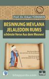 Besinnung Mevlana Jelaleddin Rumis Schönste Verse Aus Dem Mesnevi