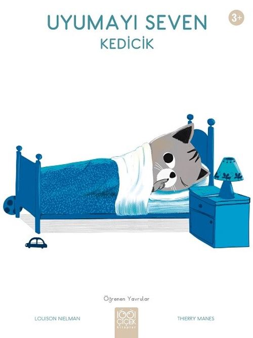 Uyumayı Seven Kedicik 