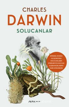 Solucanlar - Charles Darwin
