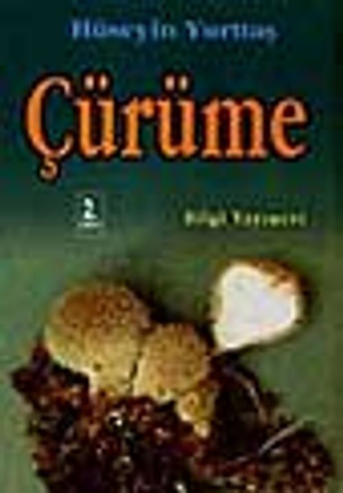 Çürüme