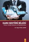 Kamu Sekt&ouml;r&uuml; Bilgisi & &Uuml;retimi, Yeniden Kullanımı ve Fiyatlandırılması