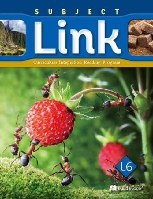 Subject Link L6 with Workbook +Cd