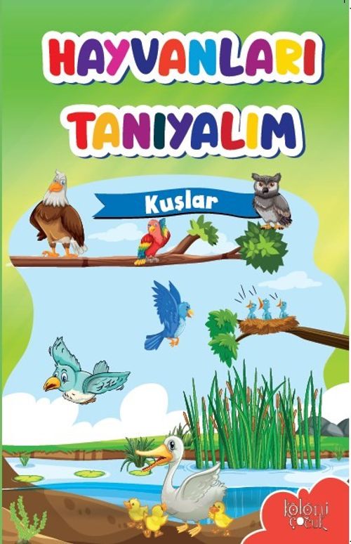 Hayvanları Tanıyalım / Kuşlar