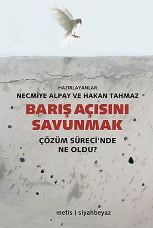 Barış Açısını Savunmak & Çözüm Sürecinde Ne Oldu?