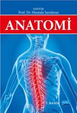 Anatomi