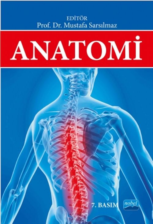 Anatomi